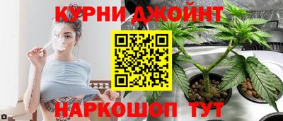 гидра Обнинск